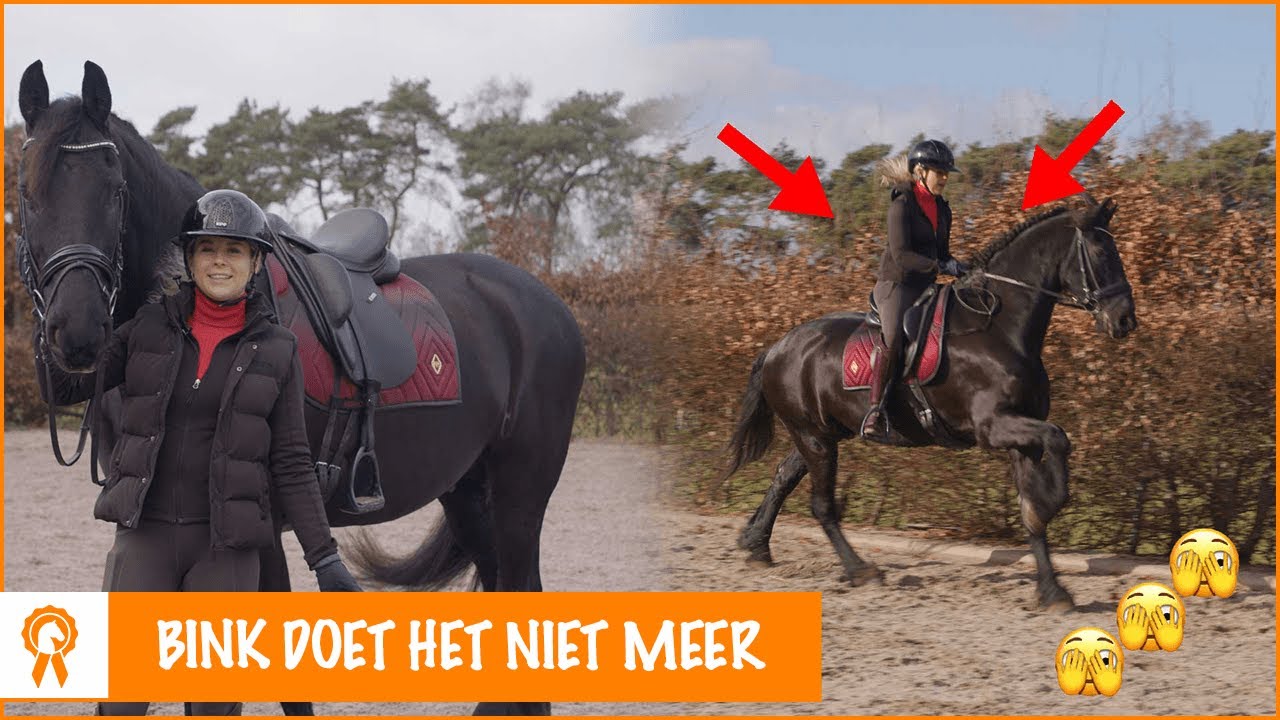 Weigert Bink de Tiktok-challenge!? | PaardenpraatTV