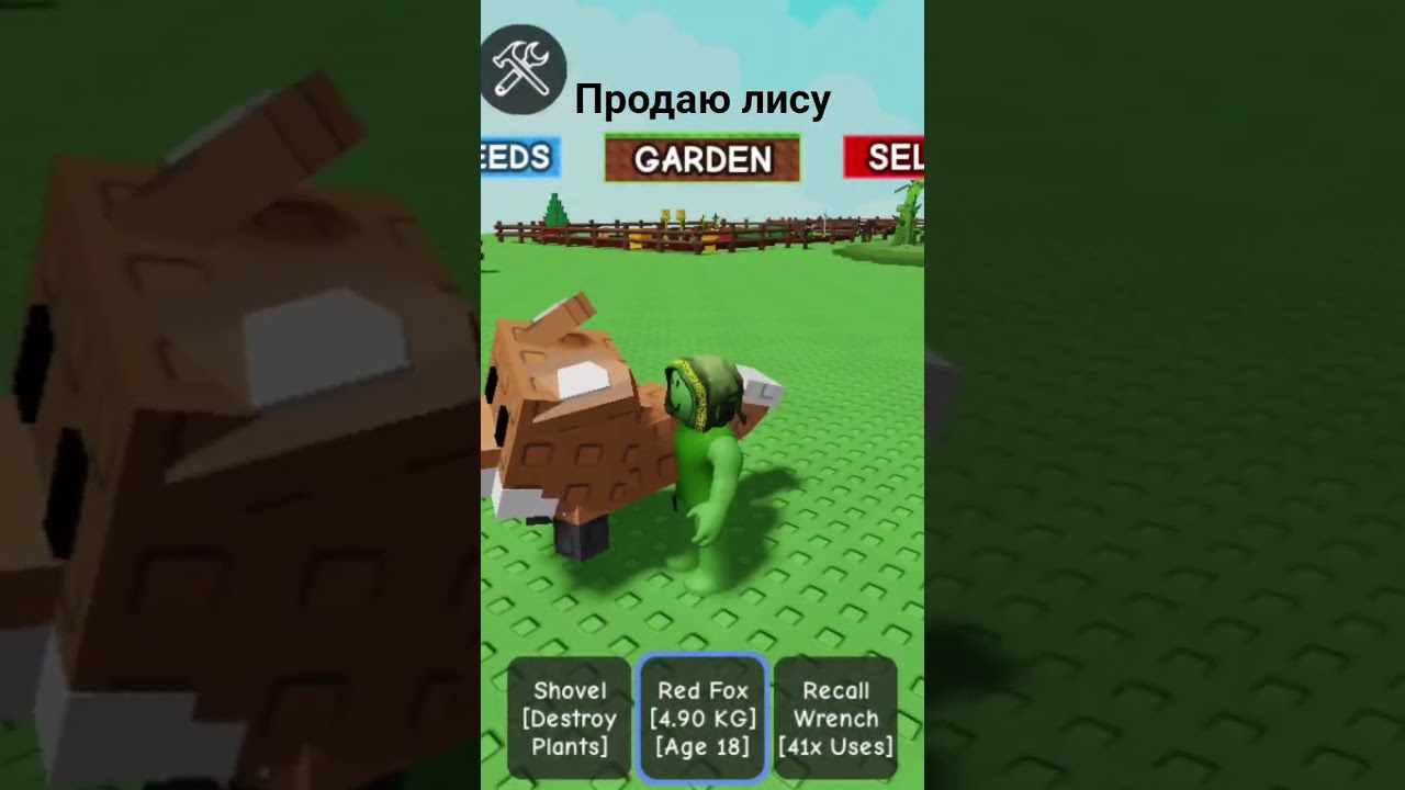 продаю лису пишите в коментарии  #roblox  #сад  #trending #trade #рекомендации