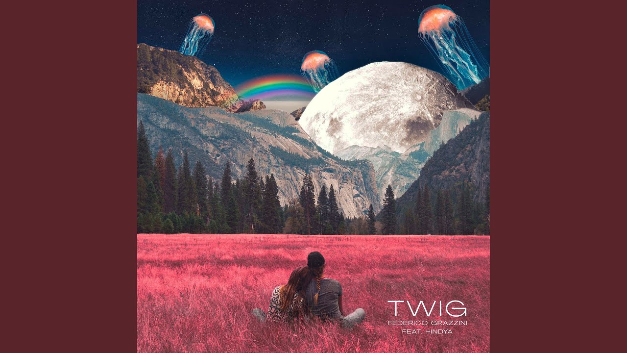 Twig (feat. Hindya) (Terrace Mix)