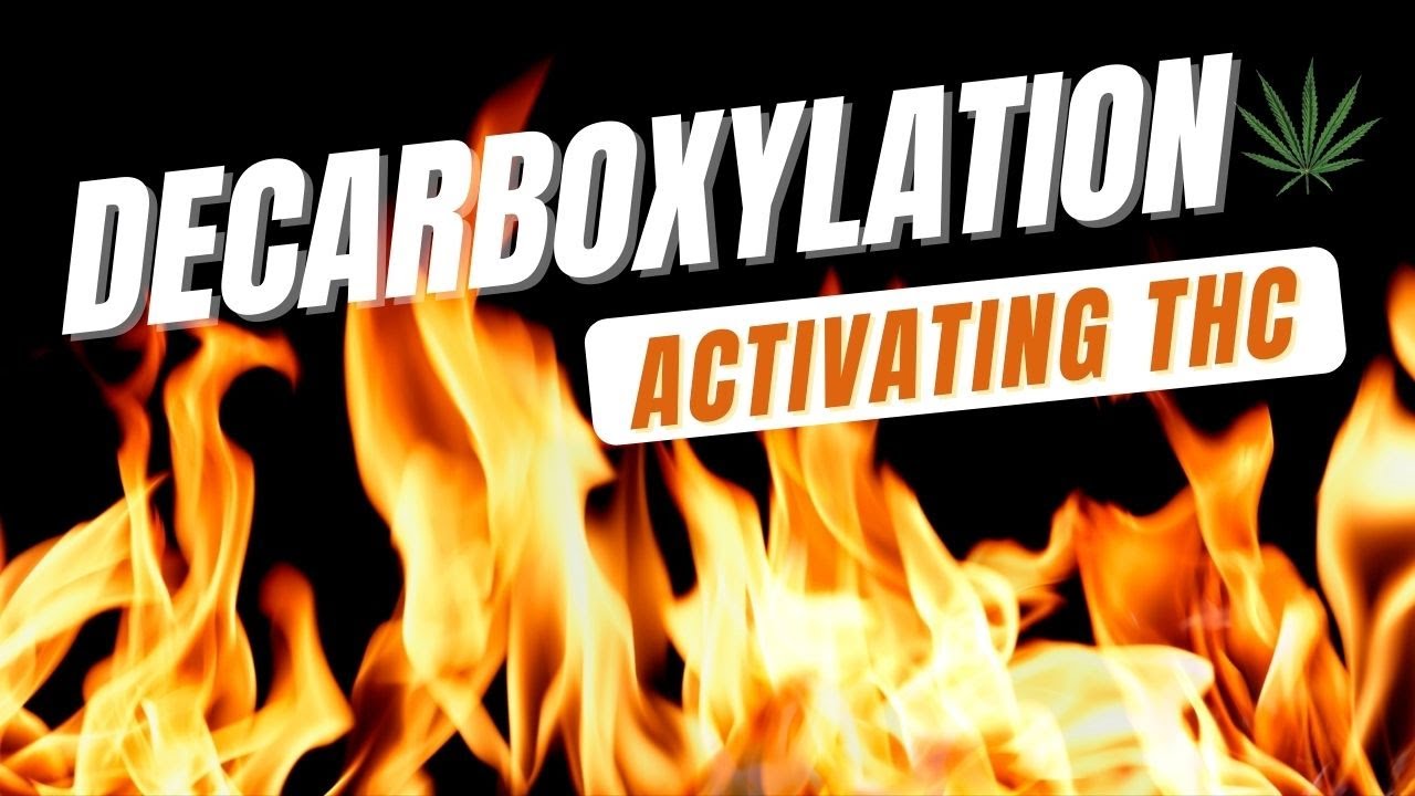 Cannabis Decarboxylation