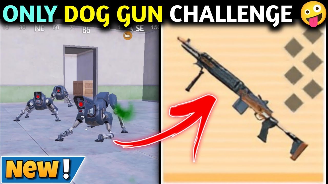 Only DOG GUN CHALLENGE 🤪 Pubg Metro Royale Chapter 26