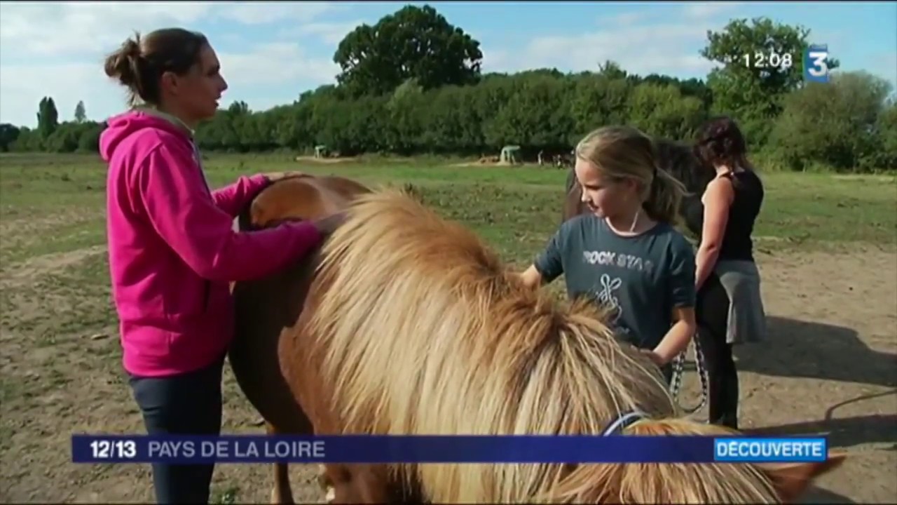 Tölt   France 3   EAP Sept 2016 reportage