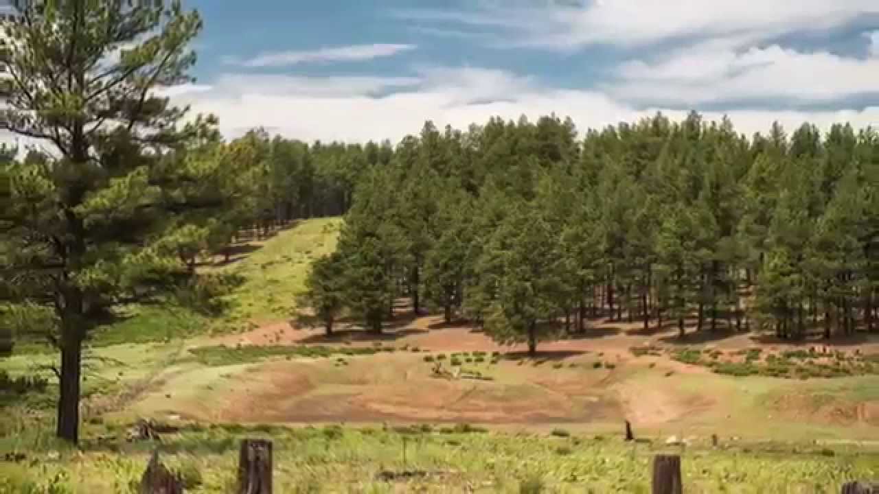 9200 W Coyote Pass Road Flagstaff | Luxury Log Home Sold by Kelly Broaddus