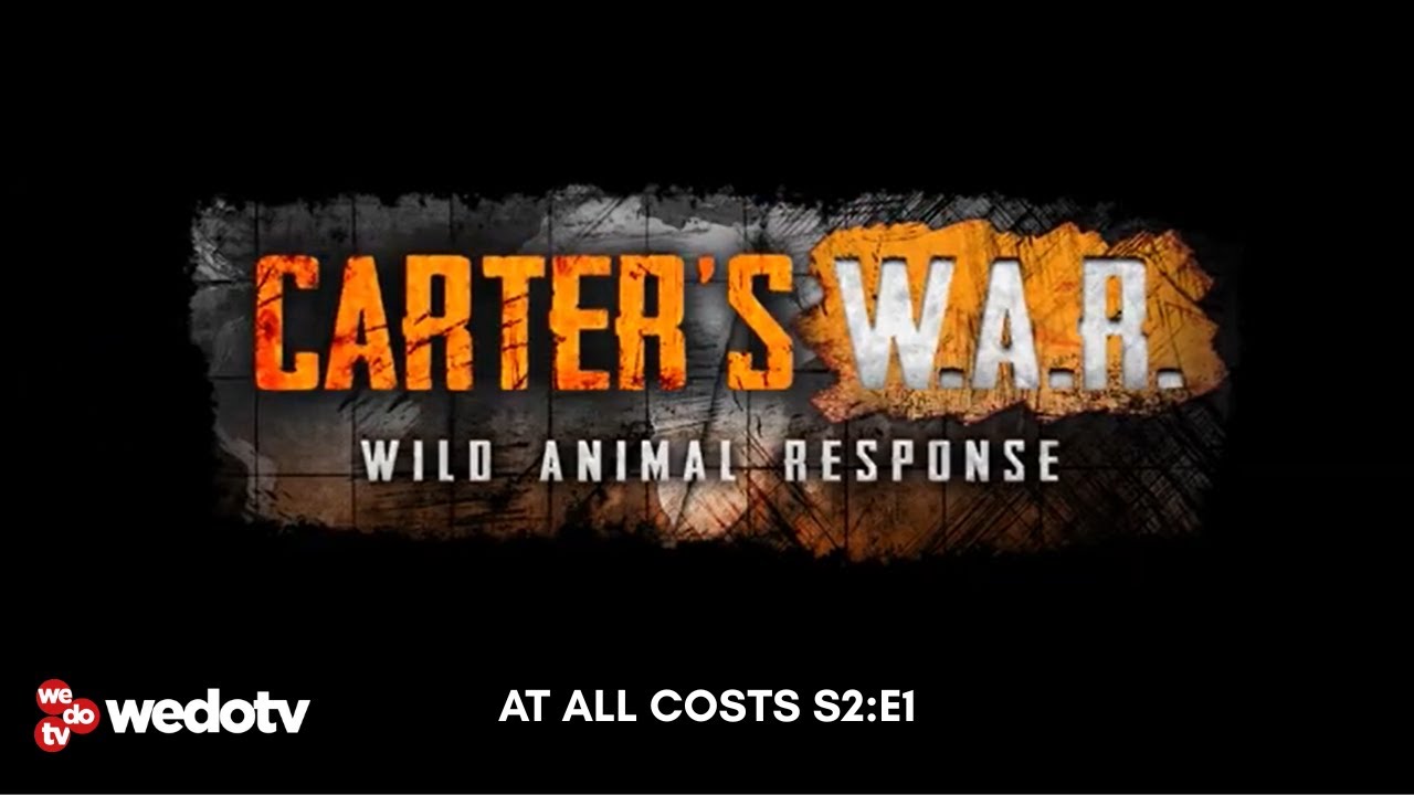 At All Costs | Carter's W.A.R. S2/E1 | wedotv