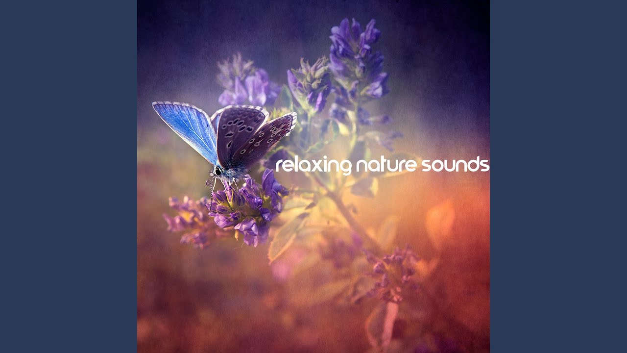 Oasis of Relaxation