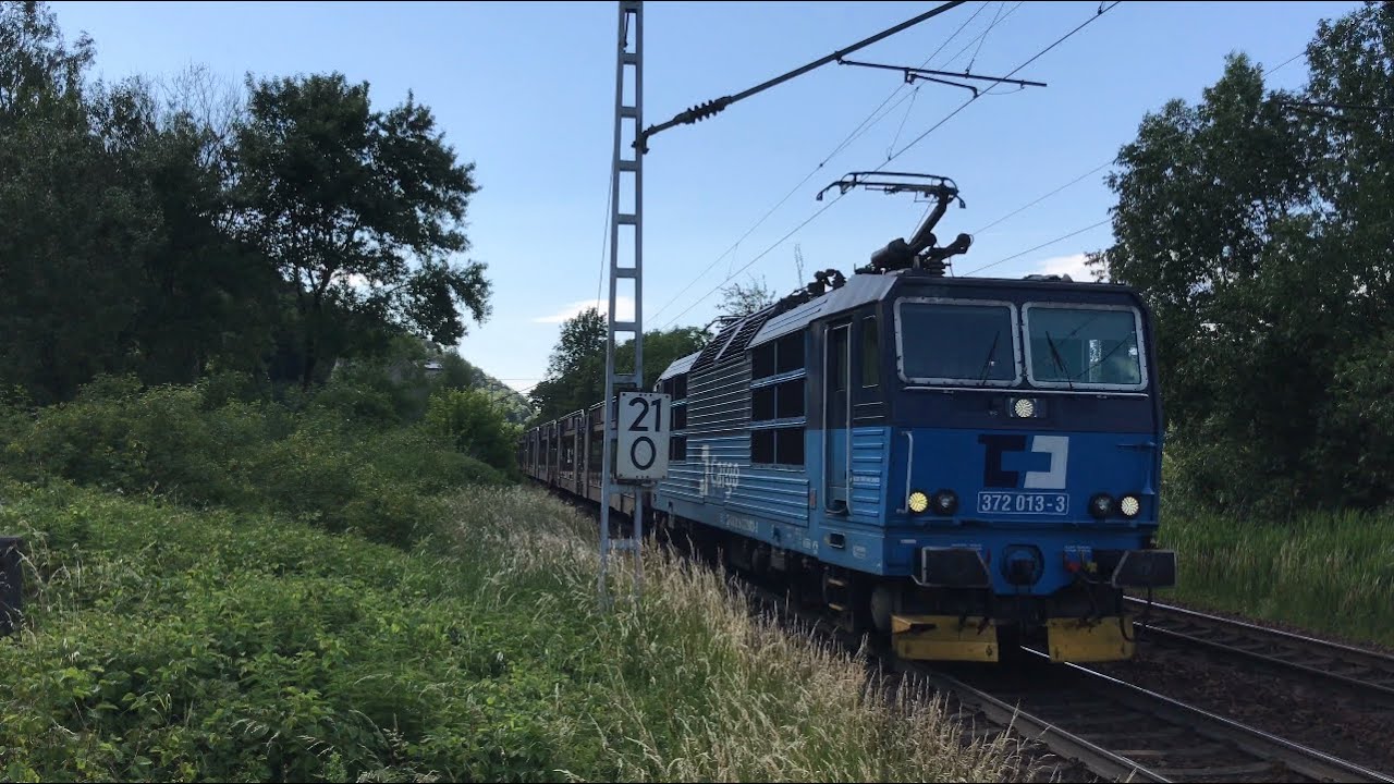 Blau und Rot am Nachmittag | Zugbeobachtung im Elbtal
