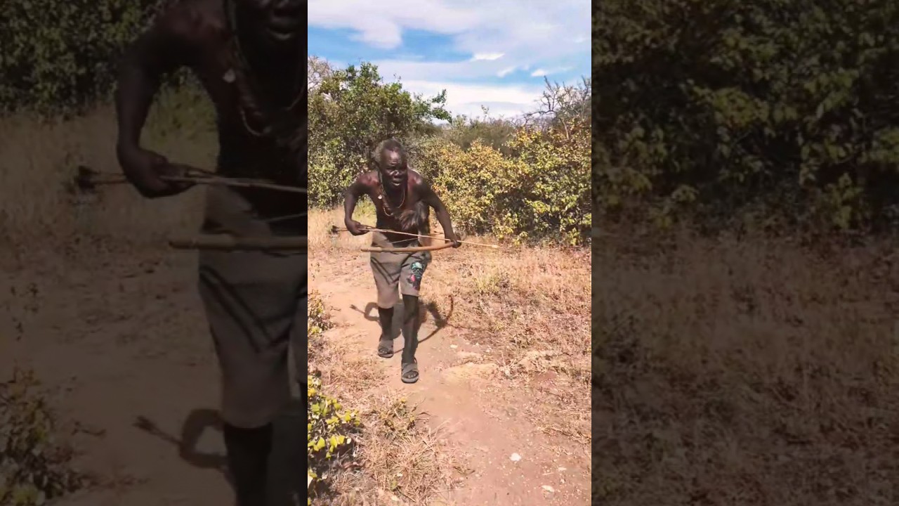 The Roar of the Wild... Then Everything Changed | Bush Awareness!#shorts #wildlife