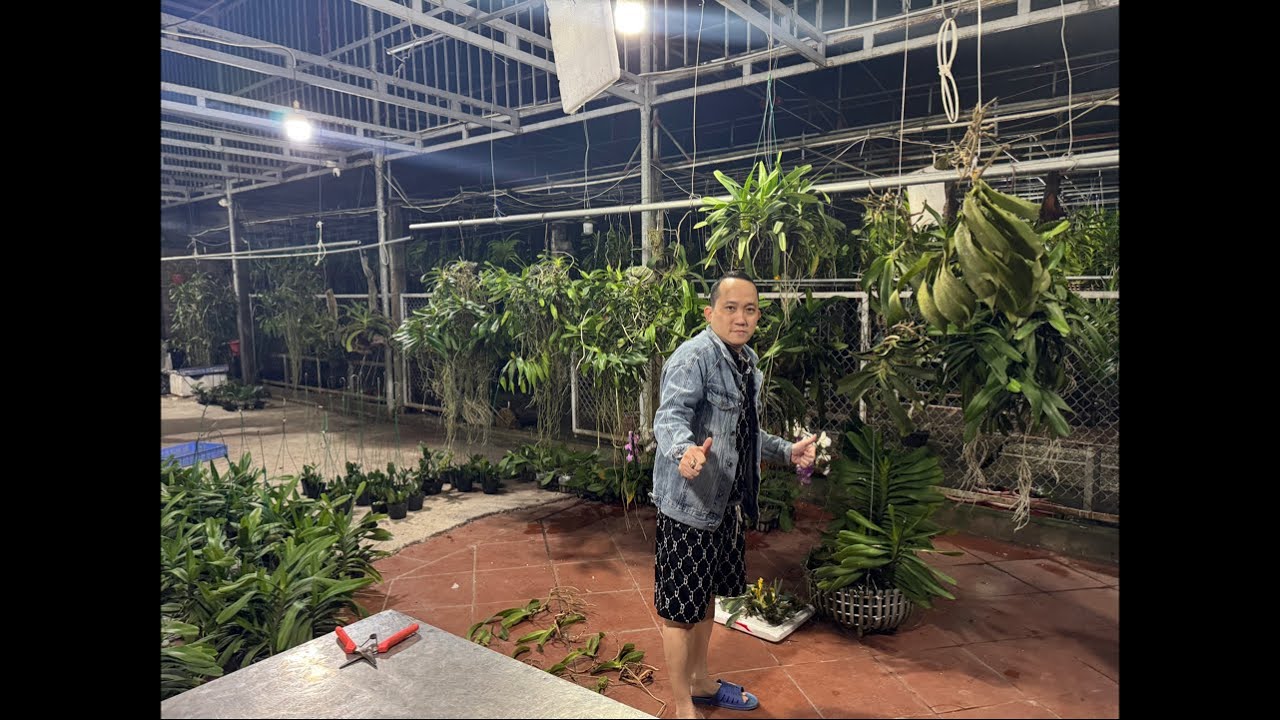 15/3 MUA HÀNG NÀO CÁC CỤ 0983270995
