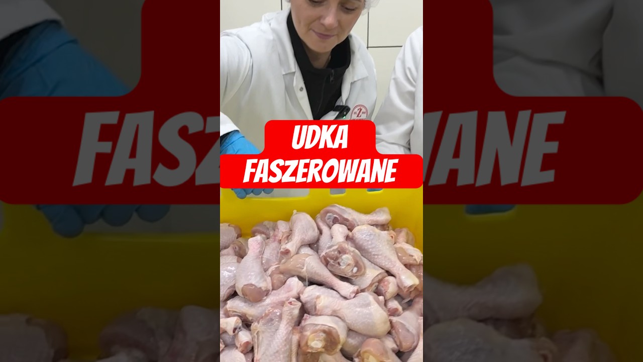 Udka faszerowane mięsem mielonym!