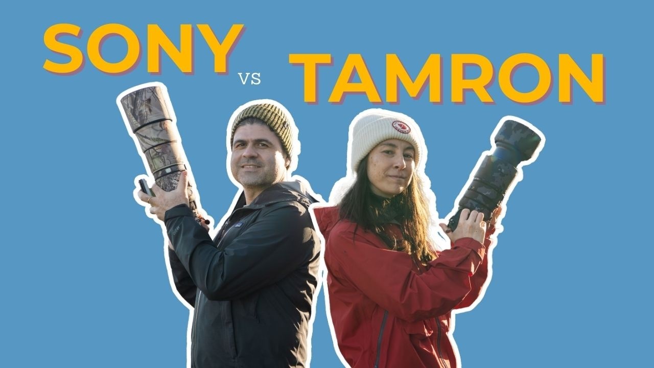 COMPARING THE SONY 200-600MM AND THE TAMRON 150-500MM - WHICH ONE IS BETTER?