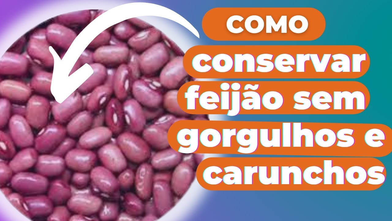 Feijão livre de gorgulhos, carunchos e bichos.
