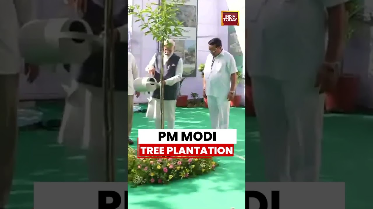 PM Modi Plants Sapling in Surat on World Environment Day #pmmodi #environment #gujarat