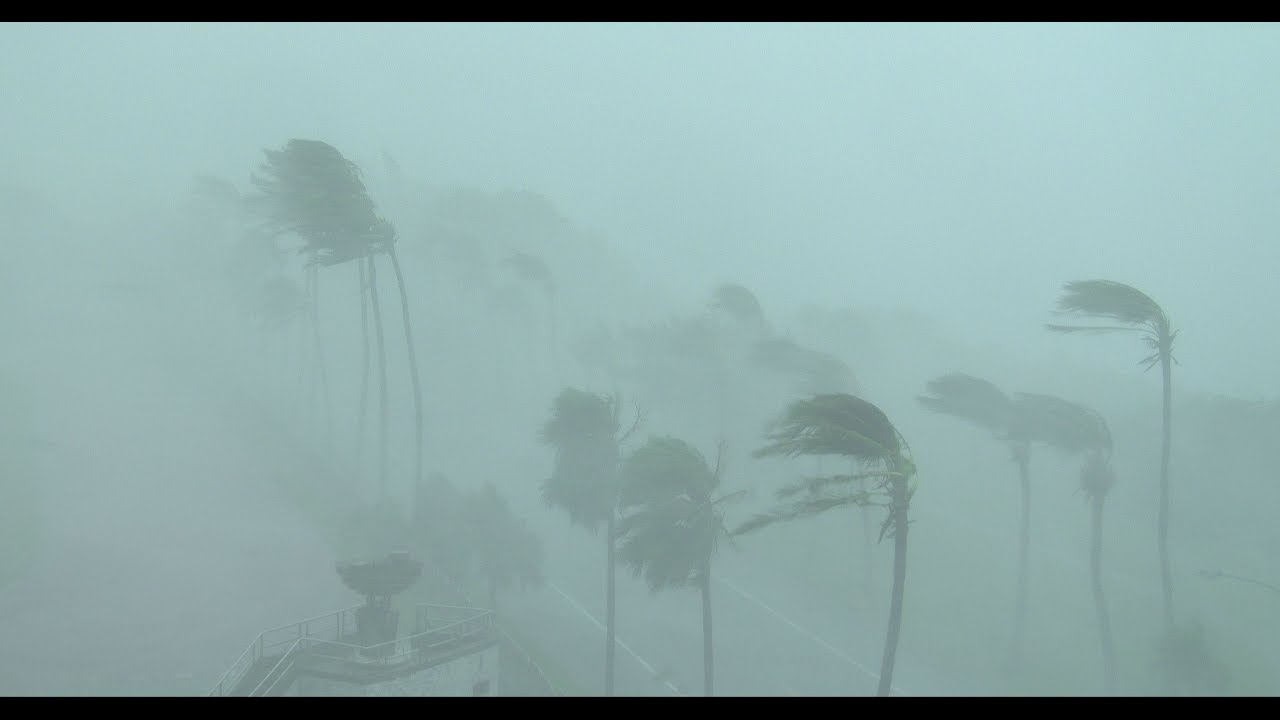 Mega Crashing Waves & Blinding Eye Wall Wind & Rain - 4K Stock Footage Typhoon Megi
