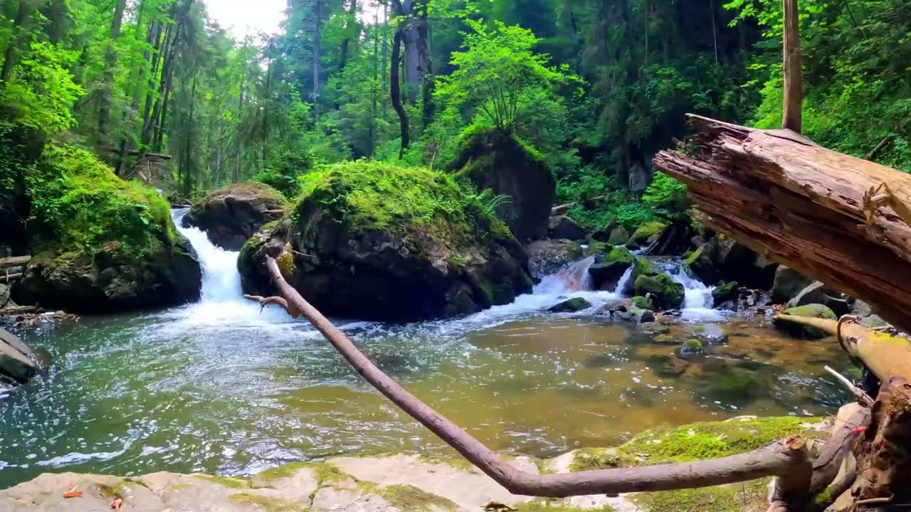 Relaxing River Sounds for Deep Sleep – 10 Hours | No Talking Nature Ambience #asmr #asmrsounds