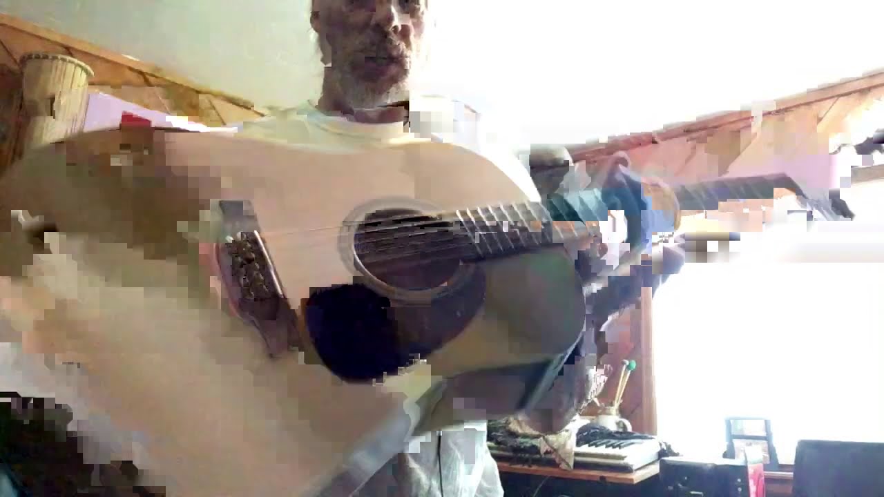 Seagull Coastline S12 12-String Acoustic Guitar