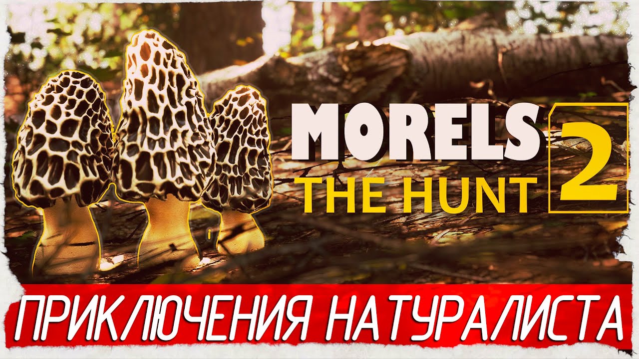 ПРИКЛЮЧЕНИЯ НАТУРАЛИСТА - Morels: The Hunt 2 [Обзор / Первый взгляд]