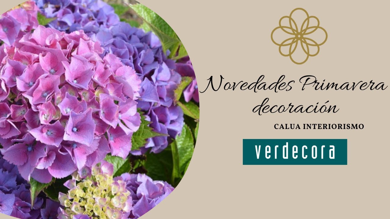 Plantas decoración.