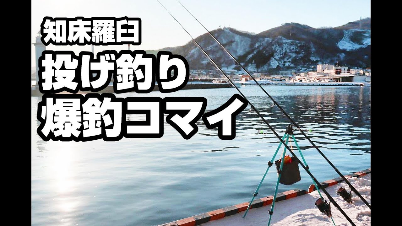 【北海道投げ釣り】ちょい投げ仕掛けでコマイ·カレイが爆釣‼️