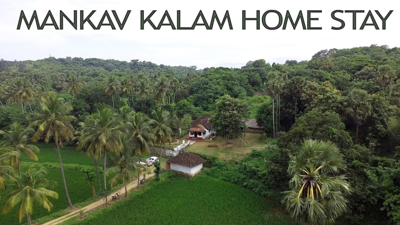 വയലേലകൾക്കിടയിൽ ഒരു ഹോം സ്റ്റേ |  I Mankav Kalam Home stay | Palakkad Vlog |  Kollengode | 5K UHD |