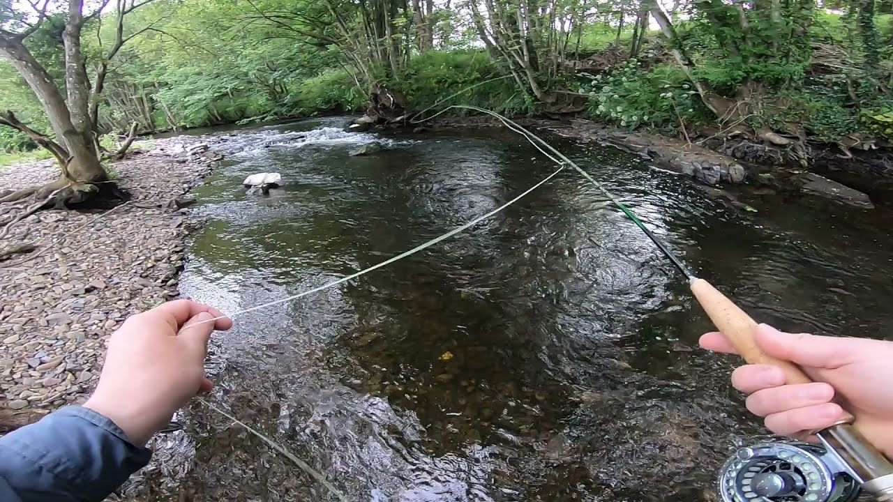 An Evening on the River Taw, Devon.
