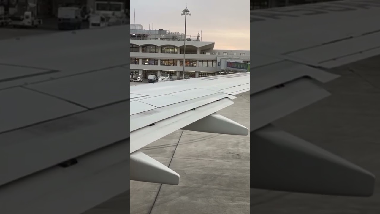 ウィーーーーン！このモーター音がたまらない&hellip;飛行機のフラップ展開リアル映像 #b737