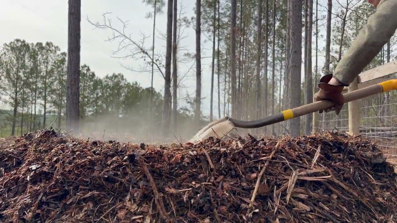 Composting At Home Part 1