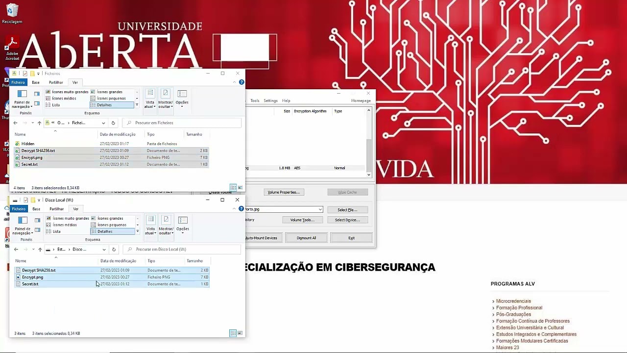 VeraCrypt Como criar e para que serve um Contentor Oculto