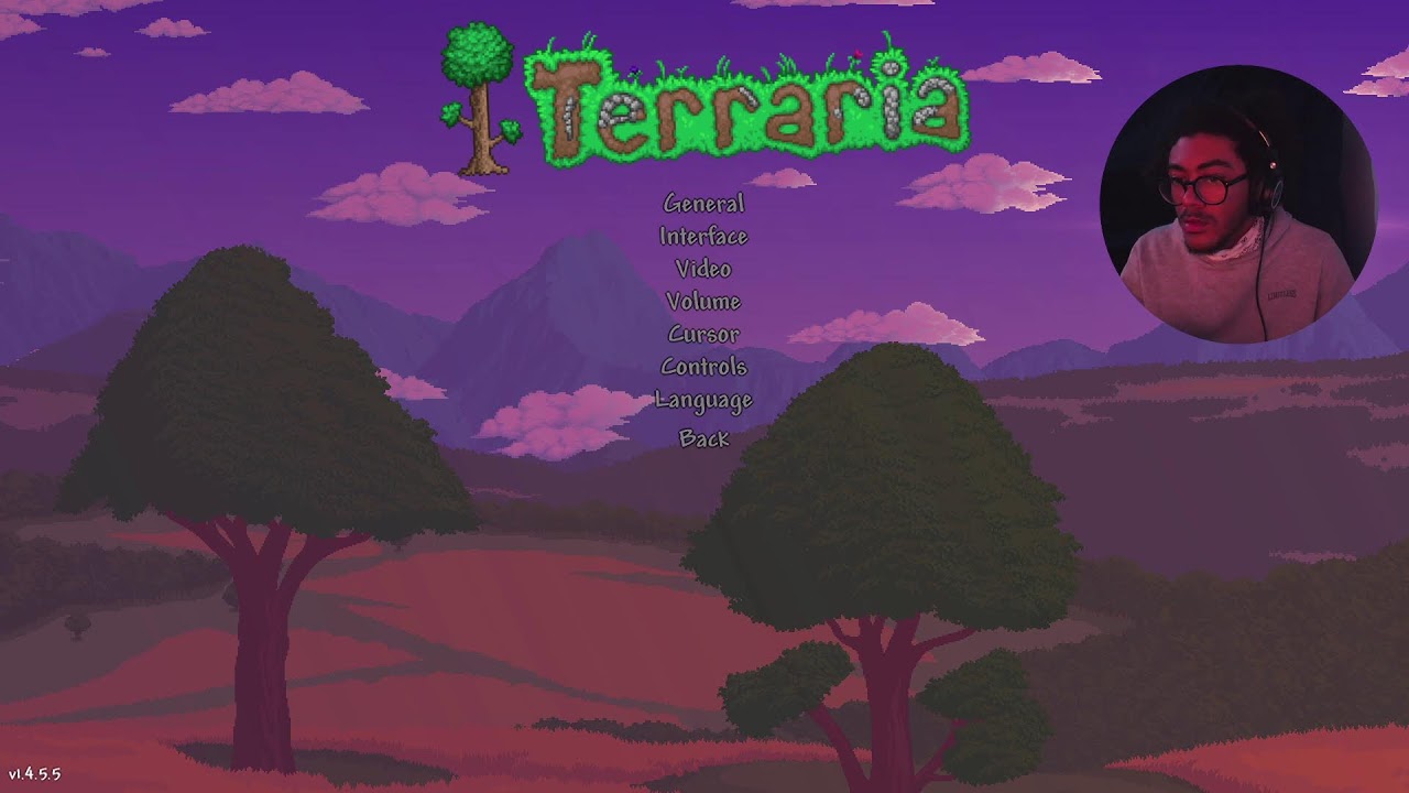 Becoming a PRO at TERRARIA