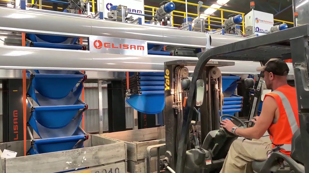 Food Automation presents Elisam 8 Lane Optical Onion Grader NZ