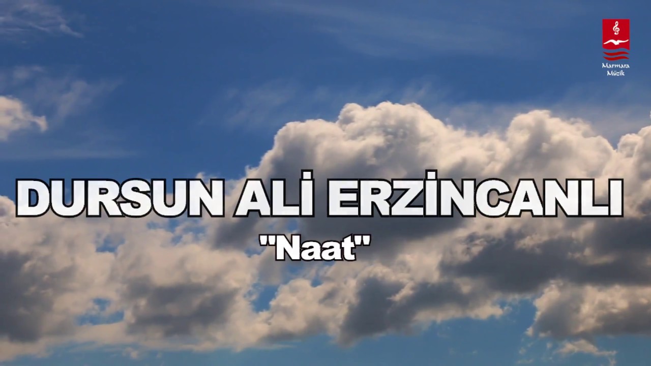 DURSUN ALİ ERZİNCANLI  