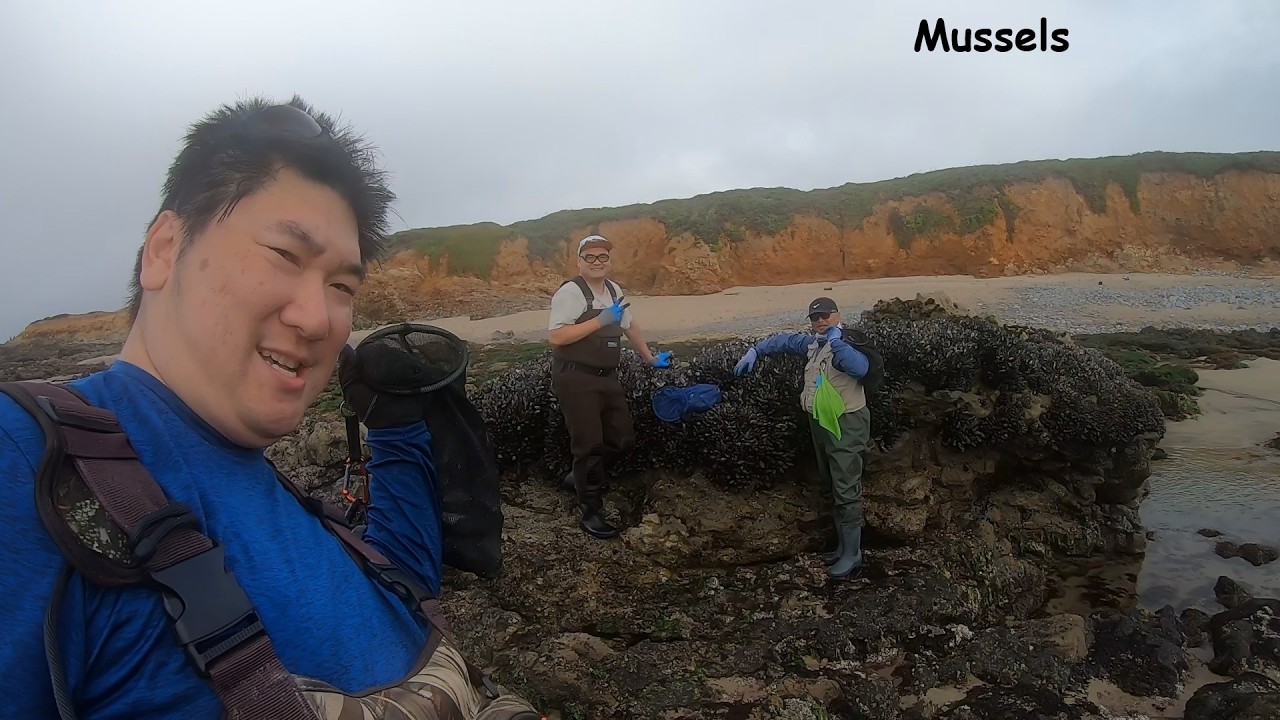 Surf Perch and mussel 2026 March 01