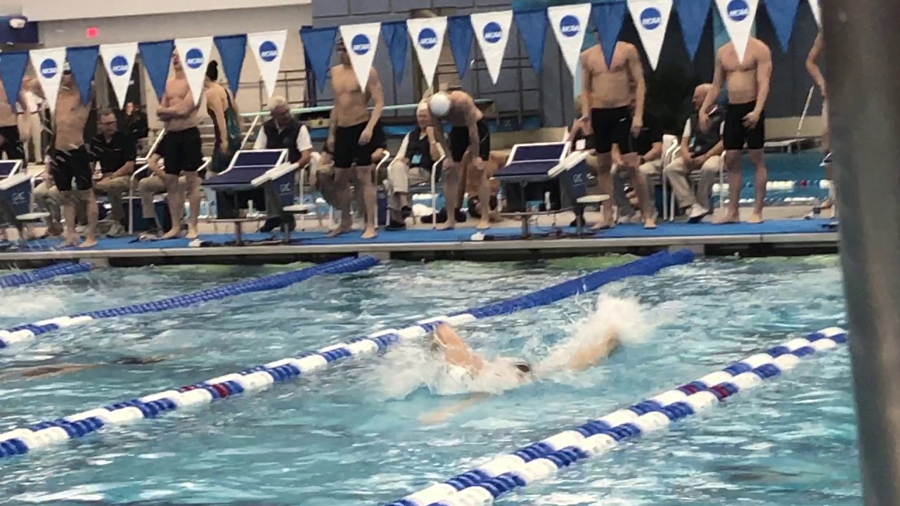 2019 NCAA Division III Bowdoin Men's 400 free relay Prelim