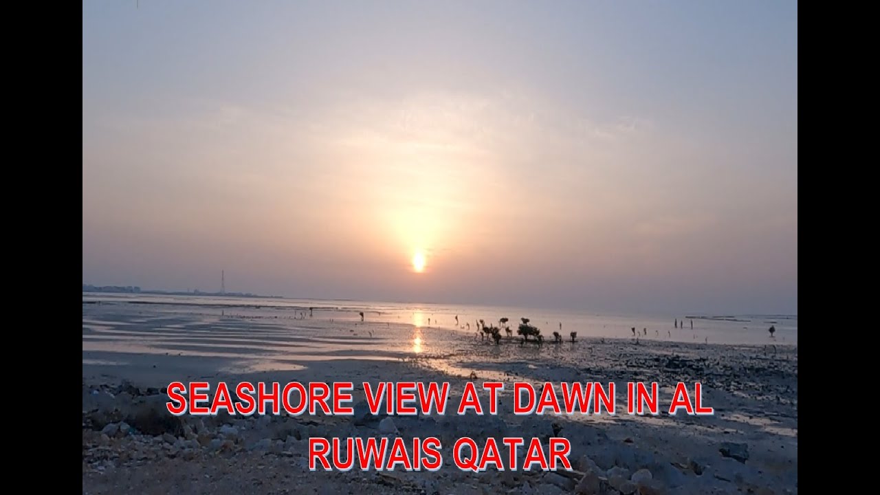 PART2-DINNER AND CRAB HUNTING/ WHO CATCH MOST?