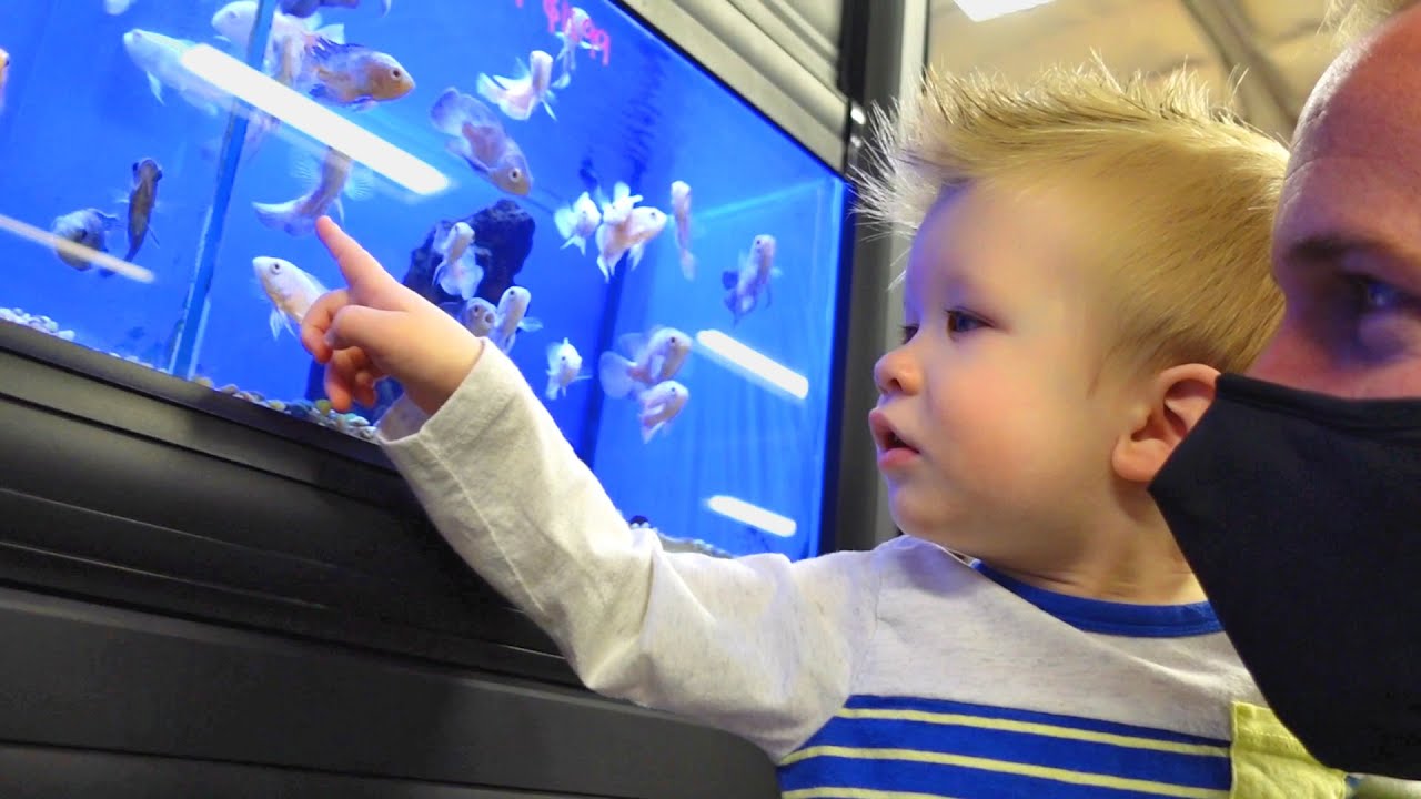 New Pets!!! But Not What We Were Looking For!