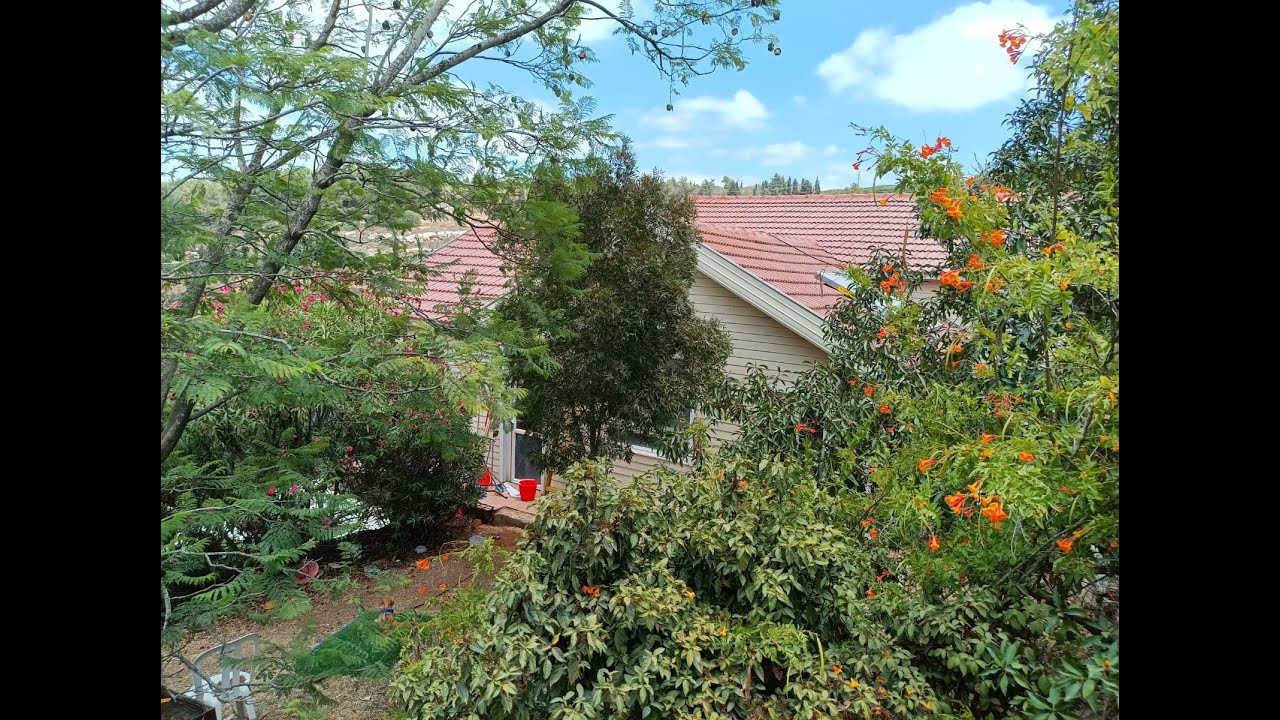 נחלה למכירה בבת עין א' Hillside house with land for sale in Bat Ayin Aleph 