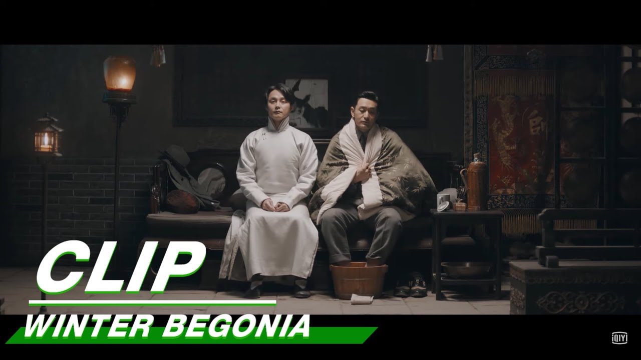 Winter Begonia 鬓边不是海棠红 | Xirui Shang: 