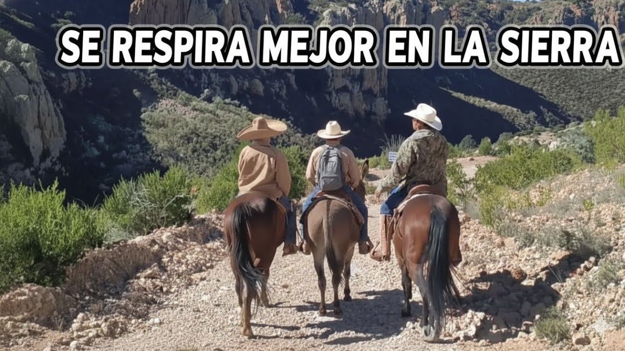 Cabalgando por la sierra con Don Luis Rojas 🫂🐎🥰🌲⛰️