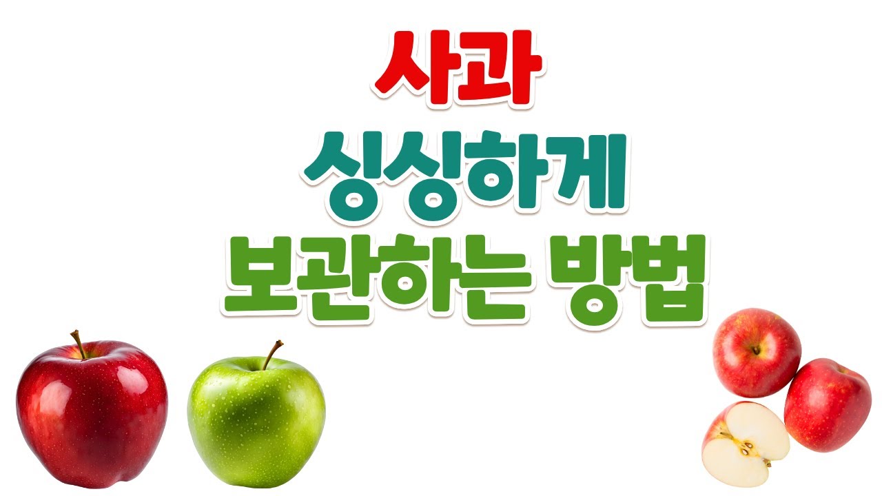 사과를 싱싱하게 오래 보관하는 방법  25 10 02