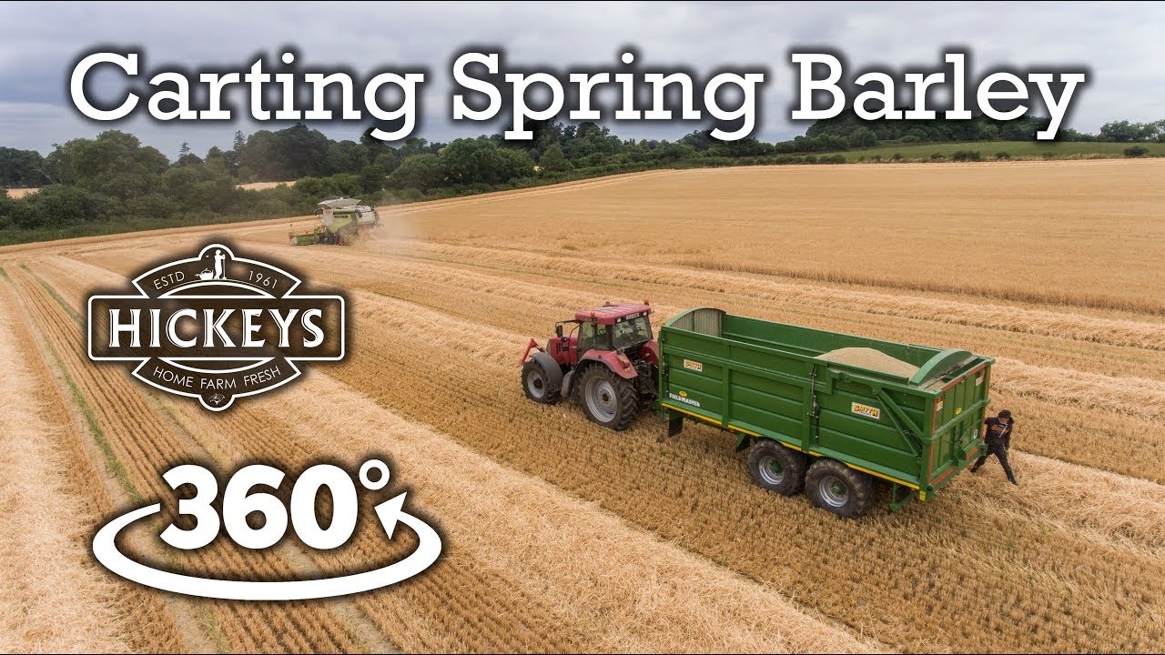 Carting Winter Barley - Harvest 2018 - Hickeys Farm - 360 Video