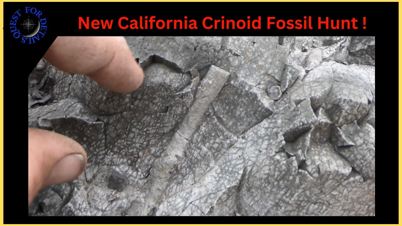 Se 8 Ep 35 - Vid.# 1,170  - California Rockhounding - Crinoid Fossil Hunt - By : Quest For Details