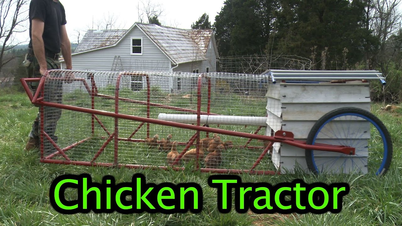 Chicken Tractor