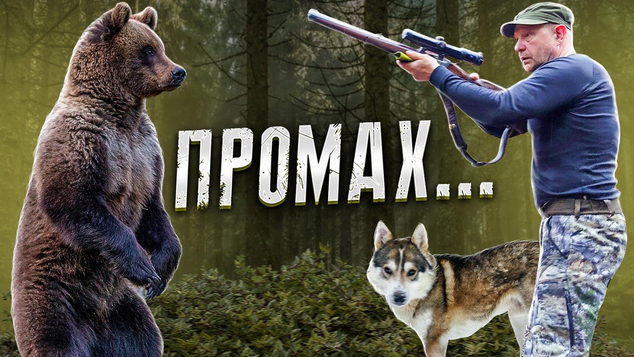 Охота на Медведя с лайкой, карабин виноват...