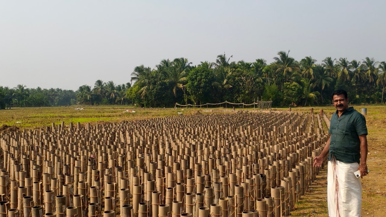 മച്ചാട് മാമാങ്കം വെടിക്കെട്ട് 2026 