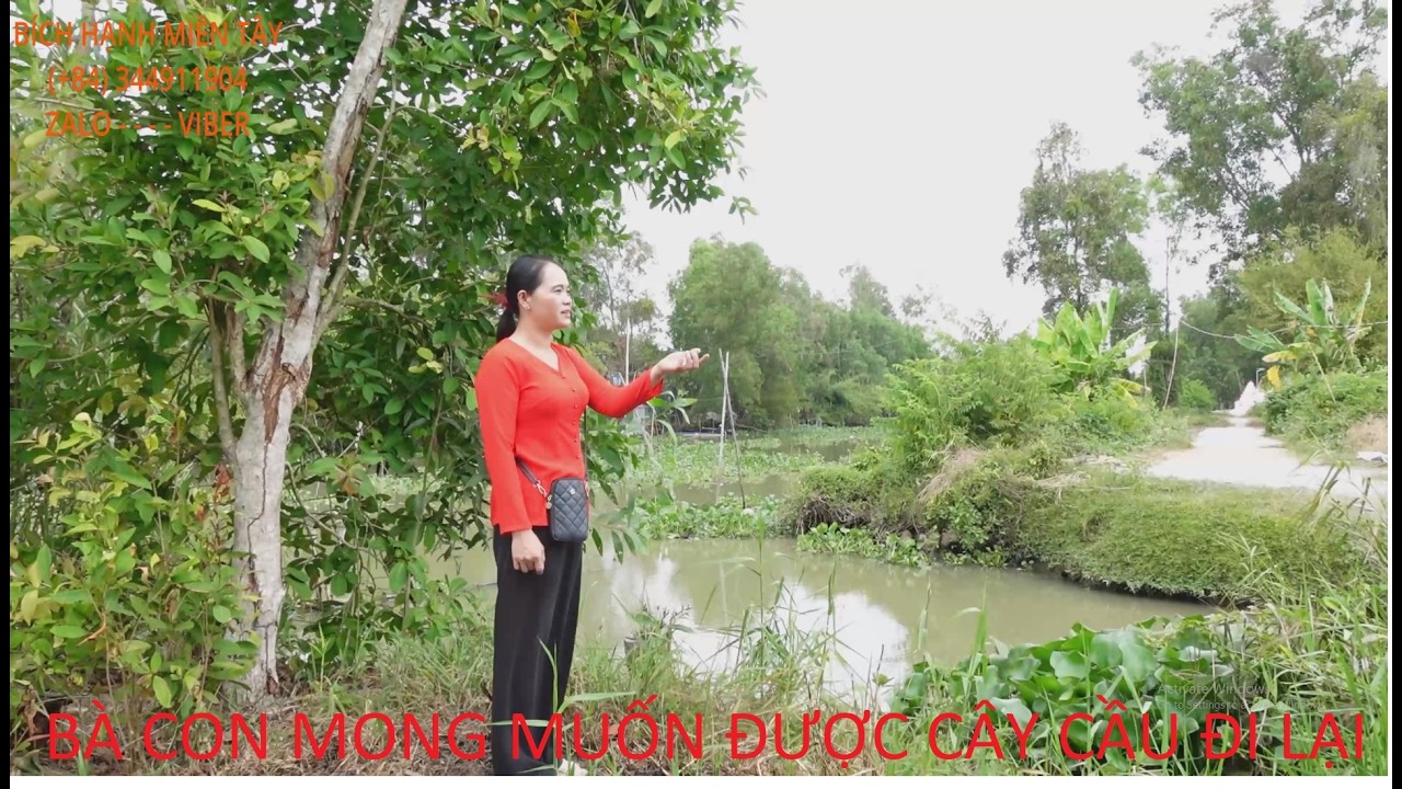 1367  HẠNH QUA ĐOẠN KÊNH THỦY LỢI - ẤP NGỌC TÂN LẦN 2 BÁO TIN ĐƯỢC 4 QUÝ MTQ ĐÓNG GÓP XÂY CẦU | BHMT