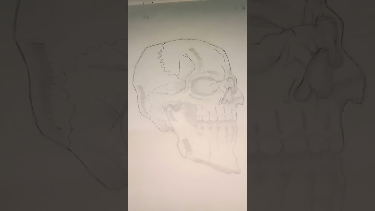 *HUMAN SKULL* 