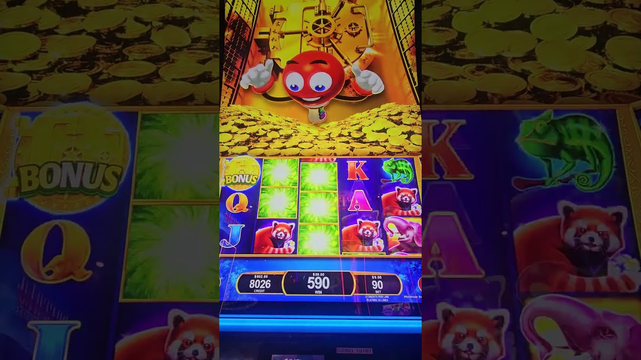 Bingo Stampede Frenzy: бонусные бесплатные вращения #слоты #игровыеавтоматы #бесплатныевращения