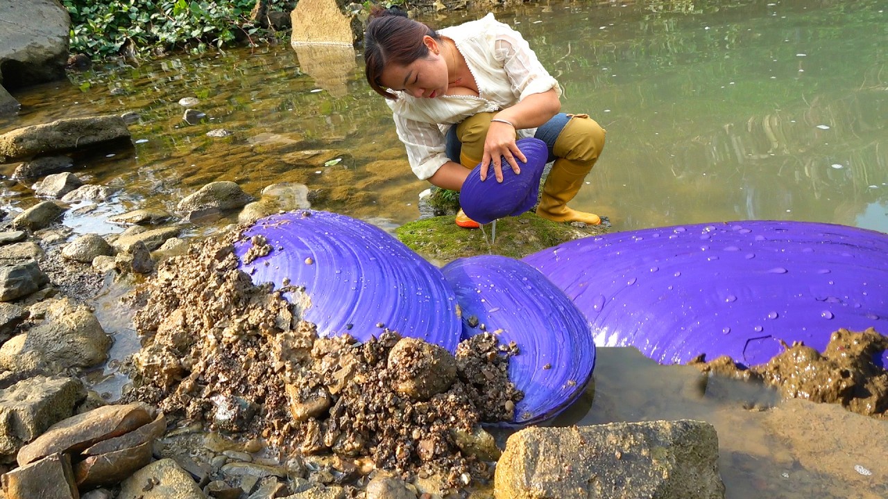 💎💎💎The girl found several large purple clams with many gemstones and pearls inside