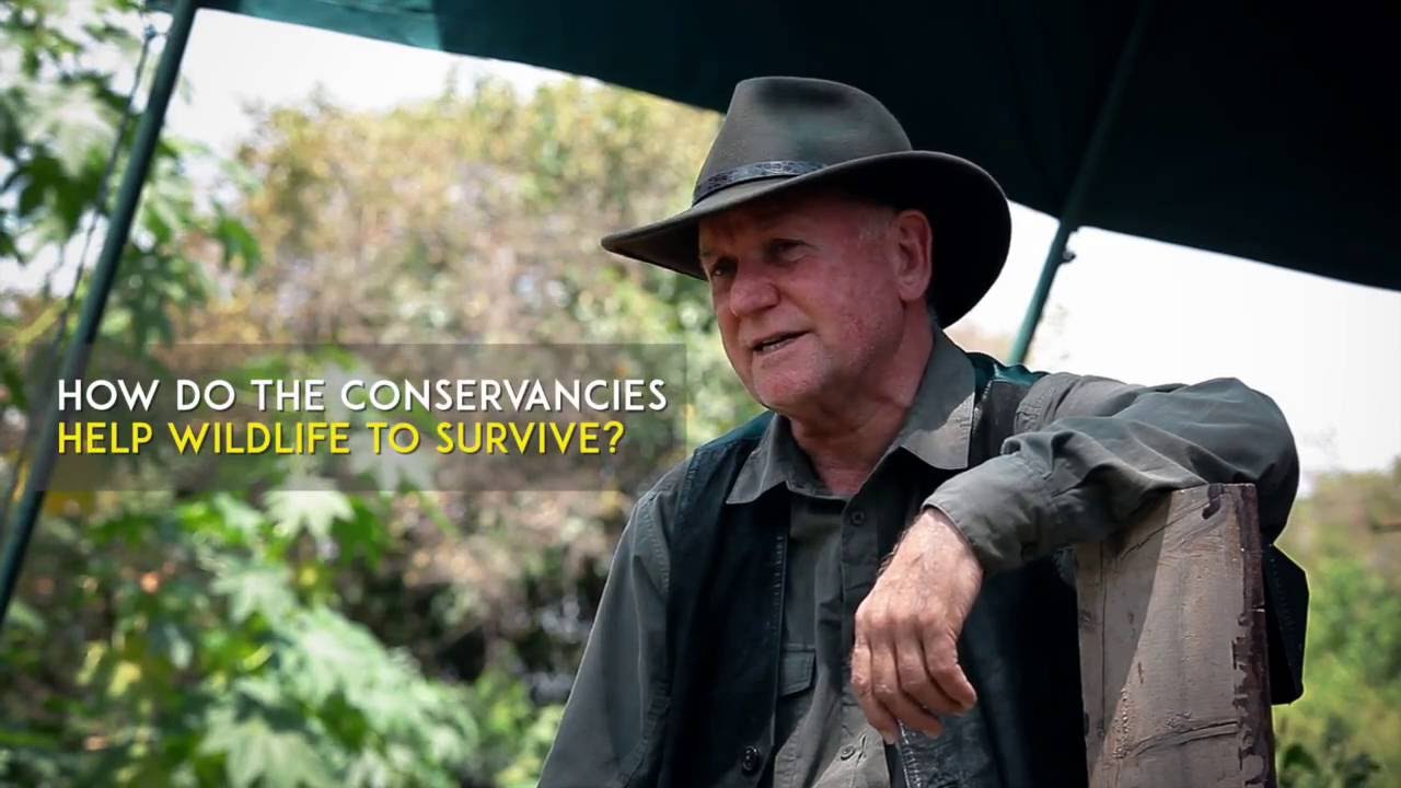 Kenya's Conservancies: protecting wildlife for the future