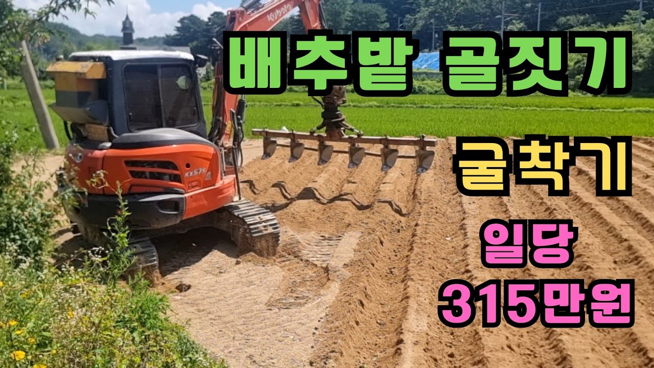 포클레인으로 배추밭 골짓기 일당 315만원/법전면 법전1리 배추밭 #포클레인 #굴착기