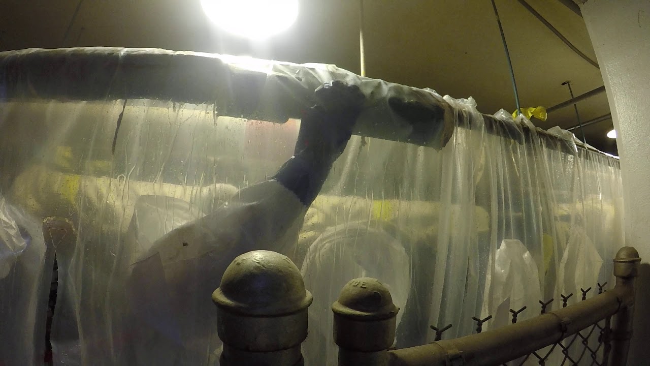 EMS | Safe Asbestos Abatement of Pipe Insulation